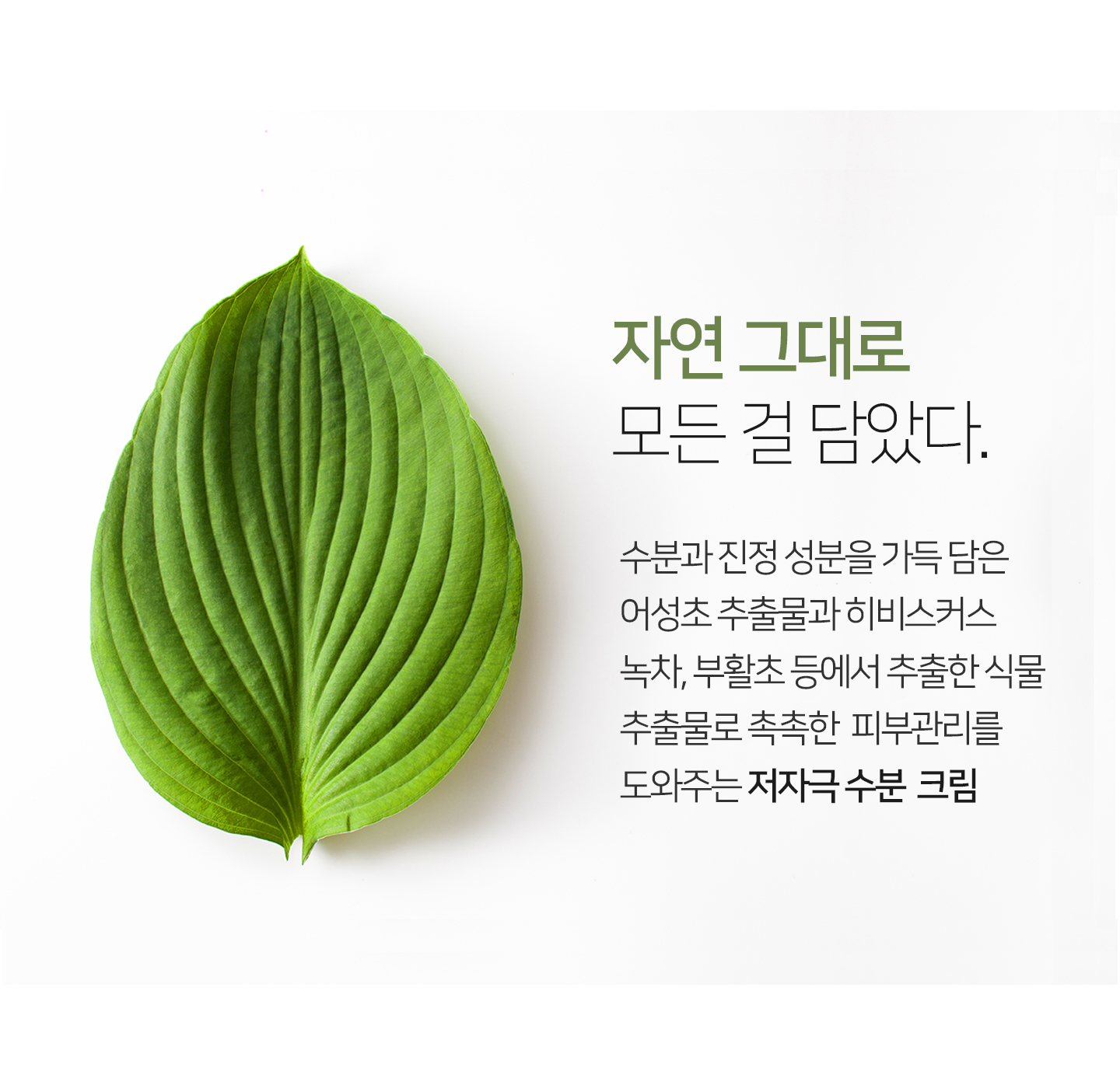 어성초 크림